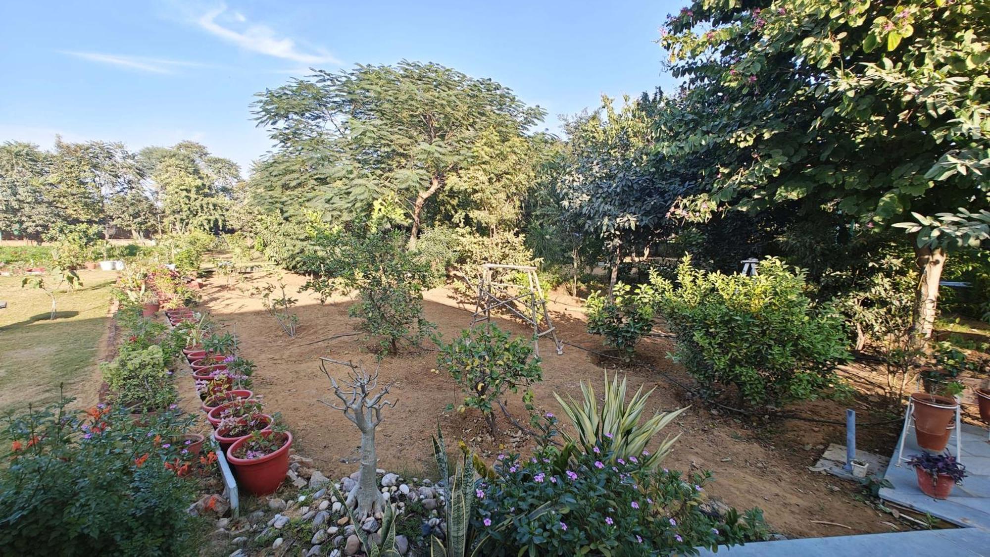 Girisadan Organic Farm Retreat & Botanical Forest Villa Jaipur Eksteriør billede